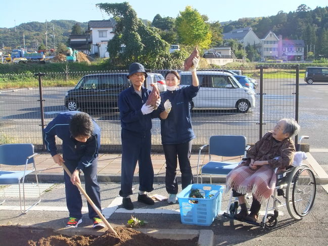 芋掘り3